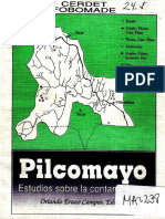 Estudios Del Sabalo y La Contaminación Del Pilcomayo. CERDET