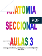 (Aula 3) - Anatomia Seccional