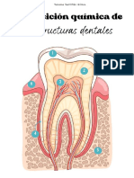 Composición Química de Los Dientes