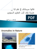 Anomalies 2021 PDF