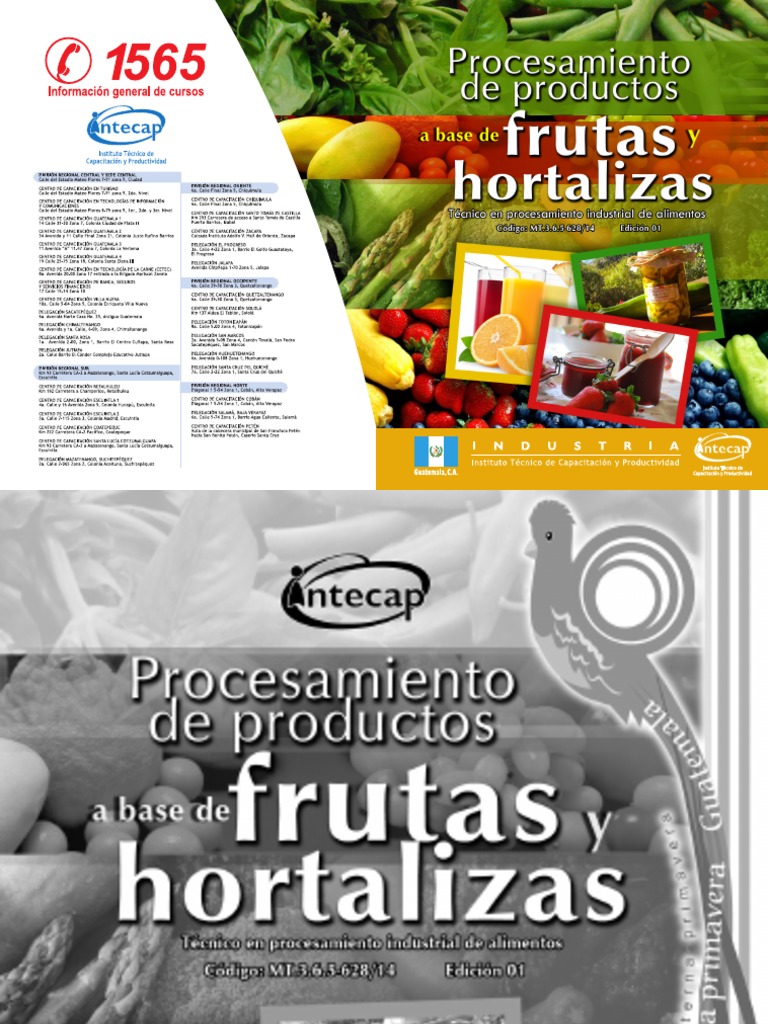 Comprar Desinfectante de frutas y verduras (unidad) Orgánico a domicilio en  Costa Rica