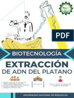 Informe Grupal de Biotecnologia - Adn Platano