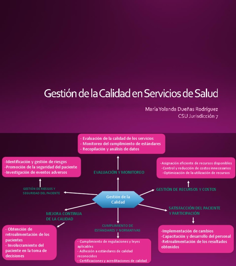 Gestión de La Calidad en Servicios de Salud | PDF