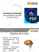 Funciones Corticales Neurologia Adultos 202210