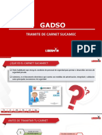 Trámite Carné Sucamec - Gadso