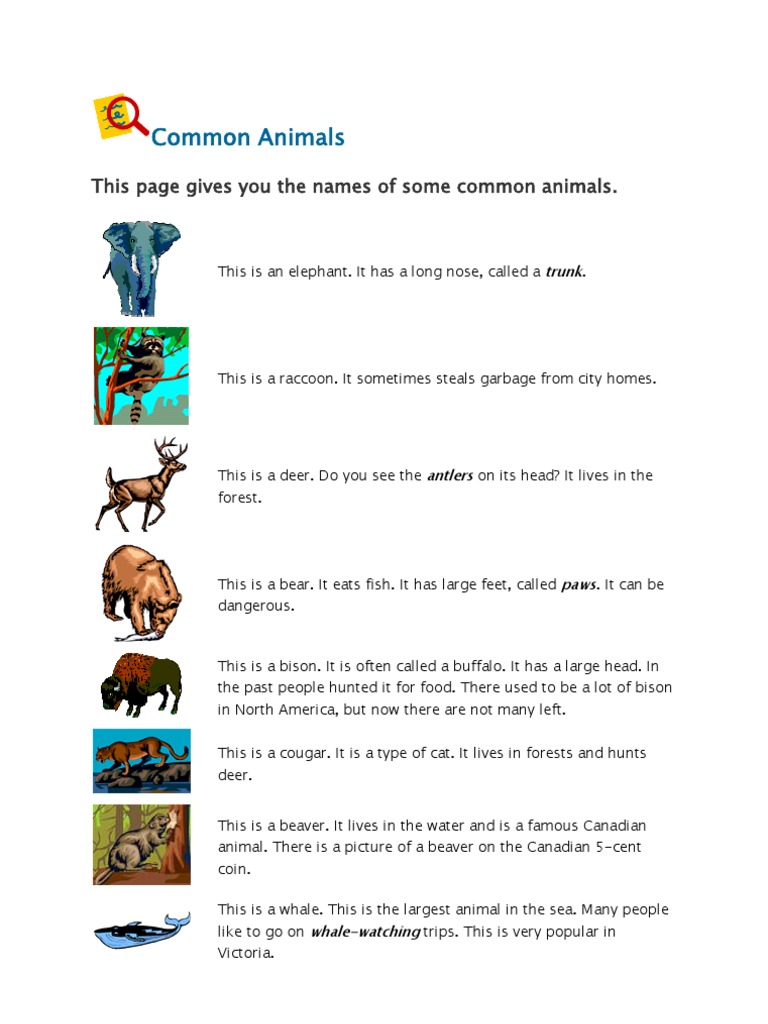 Overview of Common Animals | PDF