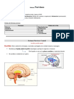 Sistema Nervioso - Segundo Parcial