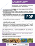 PDF - Prevenção de Acidentes Causados Por Animais Peçonhentos