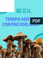 Que Es La Terapia Psicodélica?