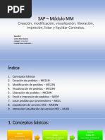 Modificar Orden de Compra en SAP MM | PDF | Informática | Software