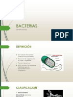 Bacterias 2016