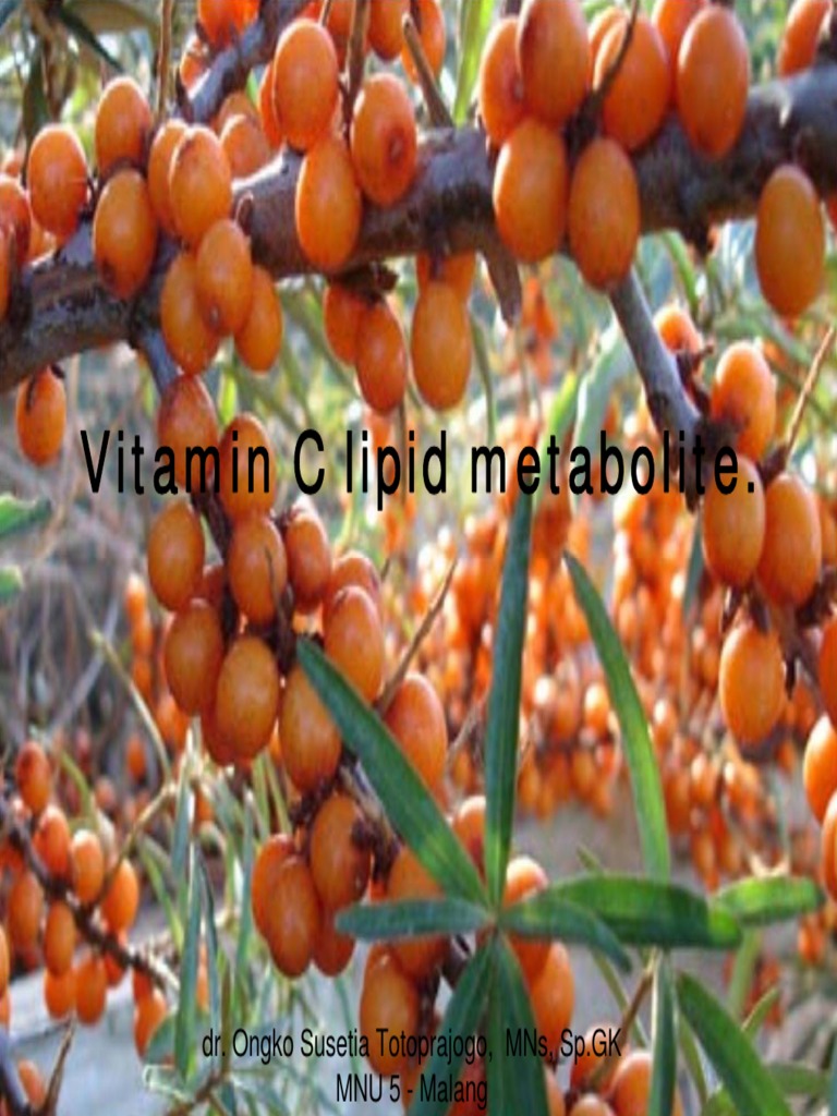 Vitamin C lipid metabolite CD PDF