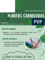 Plantas Carnivoras