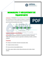 Membra y Mecanismos de Transporte Tema 3