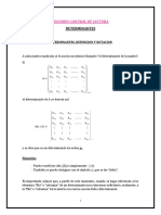 Material de Determinantes Segundo Control de Lectura 2021