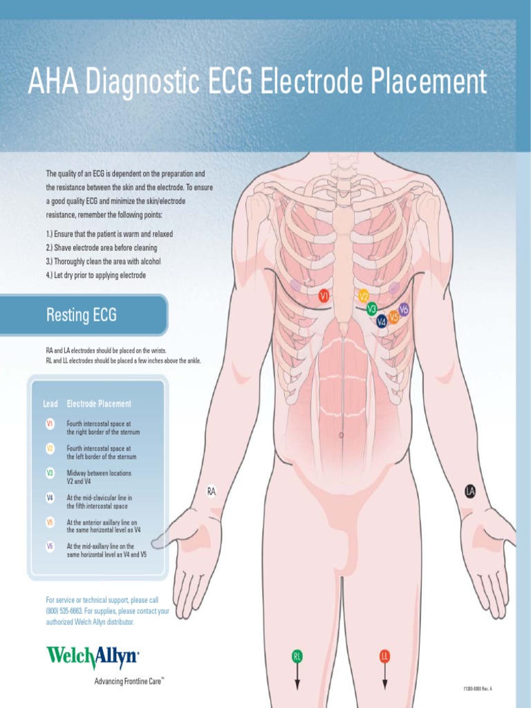 ECG Electrodes AHA | PDF | Technology & Engineering