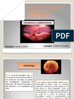 Desarrollo Embrionario