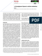 Regulation and Function of Triacylglycerol Lipases in Cellular Metabolism