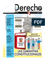 Garantias Constitucionales 1