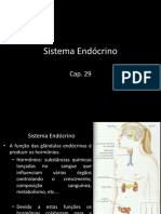 Sistema Endócrino