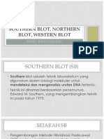 Southern Blot, Northern Blot, Western Blot