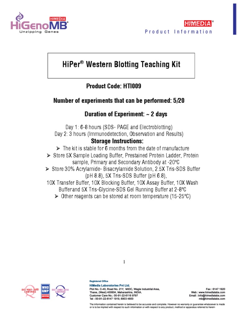 Western Blotting Teaching Kit Manual | PDF | Western Blot | Gel ...