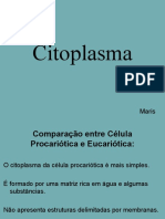 Citoplasma