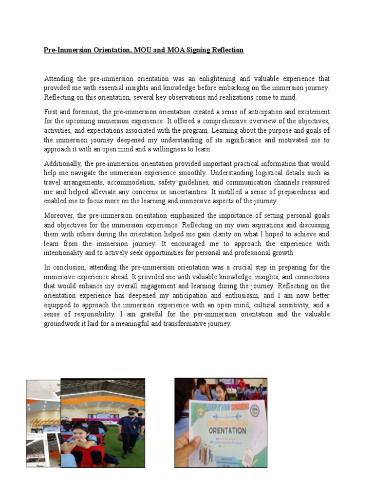 Pre-Immersion Orientation Insights | PDF