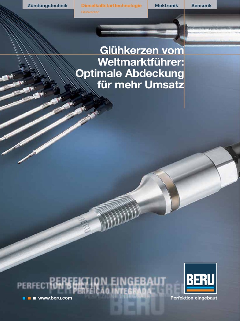 BERU | PDF