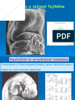 GK Az Arc Fejlődése FOKI. 2018