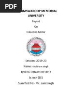 Induction Motor Report