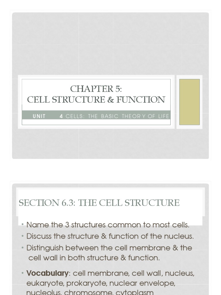 6 3 Cell Structure Function Organelles Pdf Cell Biology