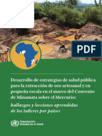 Desarrollo de Estrategias de Salud Pública para La Minería Artesanal y en Pequeña Escala en El Marco Del Convenio de Minamata