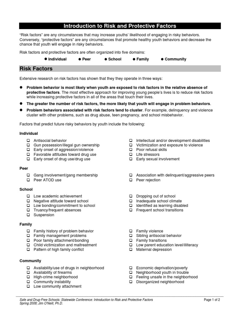 Risk & Protective Factors Guide | PDF | Violence | Juvenile Delinquency