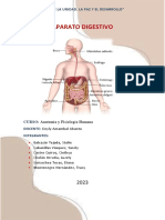 APARATO DIGESTIVO (1)
