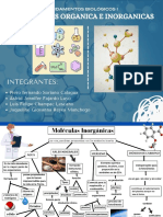 Fundamentos Biologicos