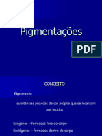 Aula 8 Pigmentações 2