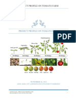 3) Profile On Vegetables Farm (Tomato Production)