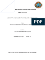 Relato de La Experiencia de Practica de Ayudantia.