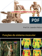 Sistema Osteomuscular e Histologia