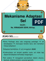 Adaptasi Sel