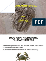 6-Filum Arthropoda 2023
