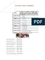 Taller Claveleles Rosas Orquideas