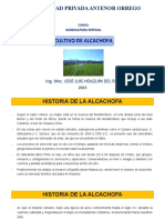 Cultivo de Alcachofa Semana 2