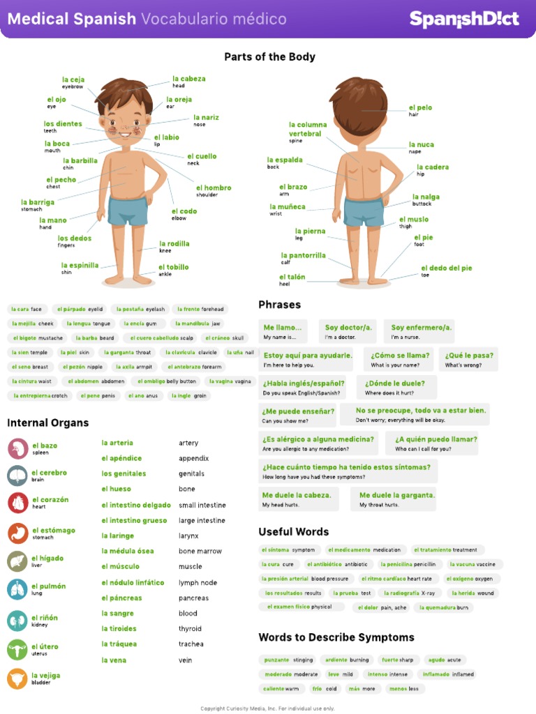 Vocabulario Médico en Español | PDF | Especialidades Medicas | Medicina ...