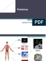 Proteínas y Enzimas