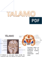 PDF Talamo y Sus Conexiones - Compress