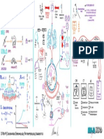 Coronavirus - Epidemiology, Pathophysiology, Diagnostics - Key Atf