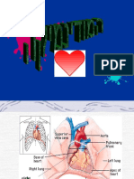 המודינמיקה אקדמיה 2008