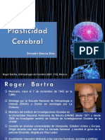 Plasticidad Cerebral